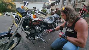 Image result for Bright Wineberry Sun Glo 1993 Motorcycle