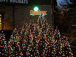 By lindsey mcglaughlin the granddaddy of all christmas light shows returns to oglebay in wheeling, wv on november 5 where the annual festival of lights will illuminate the historic park through january 10. Oglebay Park 2011 Winter Festival Of Lights Winter Light Festival Wheeling West Virginia Festival Lights