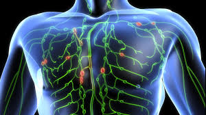 Lymphdrusenkrebs Symptome Haufigkeit Ursachen Und Behandlung