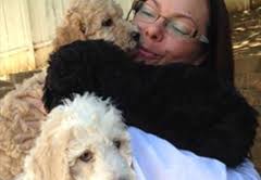 The cheapest offer starts at £100. Parti Poodles Standard Poodle Puppies San Diego Standard Poodles