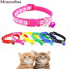 Pin On Pet Products