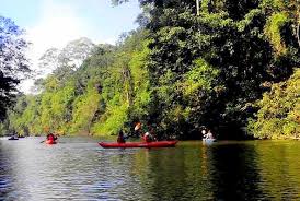 Selai was officially opened to public in 2003. Endau Rompin Adventure Package 5 Days 4 Nights