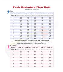 peak flow chart templates 7 free pdf documents download