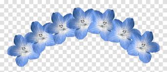 We did not find results for: Blue Flower Crown Balloon Pattern Plant Dahlia Transparent Png Pngset Com