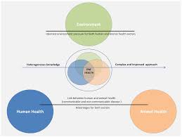 By no means will anyone with a cancer sign be anymore likely to get cancer than, say, a libra. Diagnostics Free Full Text Spontaneous And Induced Animal Models For Cancer Research Html