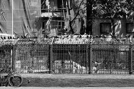 Monochrome aesthetics from around the web. What Is Aesthetic Photography And How To Use It Bwillcreative