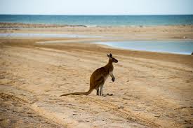 Tagesausflüge, wanderungen & social walks unterkünfte & exklusive reisepackages mit … Alleine Reisen Fur Einsteiger 6 Tipps Fur Den Ersten Urlaub Alleine