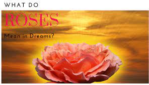 As far as dream interpretation goes, the list of meanings is seemingly endless, as nearly every flower has been attributed with a specific meaning at some point in time. What Do Roses Mean In Dreams Exemplore