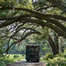I have previously reviewed the breakfast tea from charleston plantation tea, now let's chat the peach tea. Charleston Tea Plantation Tour In Wadmalaw Island Sc