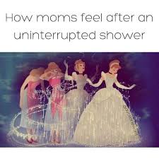 Yes Yes Yes Brett Just Doesn 39 T Understand When I Say This Because He Gets The Privilege Of Showering Alone Uninte Mom Memes Funny Pictures Cinderella