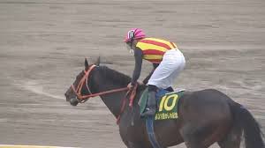 Tm + © 2021 vimeo, inc. ã‹ã—ã‚è¨˜å¿µ2021 å‡ºèµ°äºˆå®šé¦¬ äºˆæƒ³ã‚ªãƒƒã‚º è³žé‡' G1é¦¬ãŒç¶šã€…ã¨å‚æˆ¦è¡¨æ˜Ž