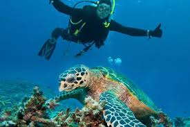 Two Tank Scuba Dive Off The Big Island 2021 Big Island Of Hawaii
