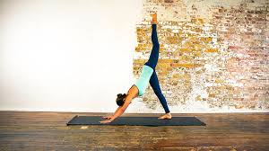 Three Legged Downward Facing Dog Pose