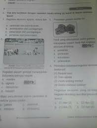 We did not find results for: Soal Tentang Ekonomi Maritim Dan Agrikultur Di Indonesia