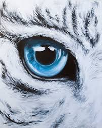 Add two lines for the cheeks. White Tiger Eye An Art Print By Krissie Phee Inprnt