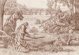 Hand drawn birthday card with cute funny flamingo. October 2013 Chasing Sabretooths