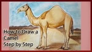 How to draw a camel for kids easy and step by step. How To Draw A Camel Youtube