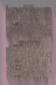 Image result for Synandrodaphne paradoxa