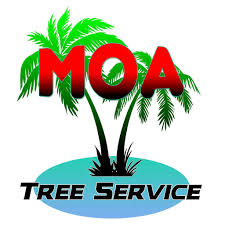 They gave me an invoice without an address i was not able to complete the permit. The 10 Best Tree Trimming Services In Miami Fl With Free Estimates