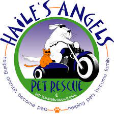 Come meet gainesville pet rescue's pets. Pets For Adoption At Haile S Angels Pet Rescue In Gainesville Fl Petfinder