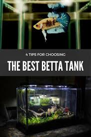 Planning On Buying A Betta Aquarium Soon Then Read This Post As Soon As Possible We Cover Important Informatio In 2020 Betta Aquarium Betta Fish Tank Betta Fish Care