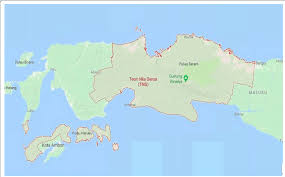 The maluku islands, also known as the moluccas or the spice islands, are a region of indonesia lying between sulawesi and papua.they are divided into north maluku province and maluku province. Map Of Teon Nila Serua Teon Nila Serua Is Located In Central Maluku Download Scientific Diagram