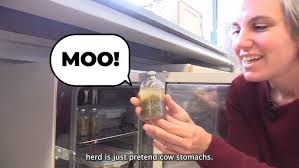 Kelp' Us Learn: Early Earth and Seaweed