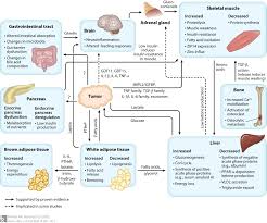 These contrast with benign tumors, which do not spread. Cachexia Wikipedia