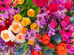 Florist · $$ · closed · 13 on yelp. Ygjcha8n3vjyym