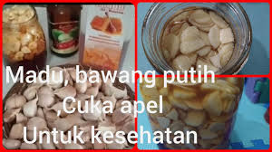 We did not find results for: Cara Membuat Ramuan Jamu Kunyit Telur Madu Youtube