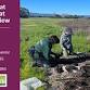 Volunteer Outdoors in MV Shoreline Marsh Habitat..... event in Mountain View, CA