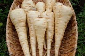 Dal colore giallo paglierino, la pastinaca ha una forma allungata simile ad una carota ed è in pratica la radice della pianta in questione. Pastinaca Proprieta Benefici E Ricette Con Questa Carota Bianca