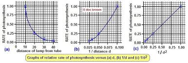 Photosynthesis Factors Affecting Rate Experiment Design