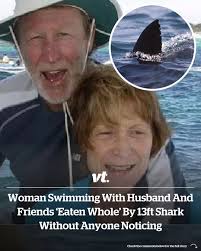 After vanishing during their morning swim, her husband recalled the moment  he saw the shark's fin sticking out of the water 💔