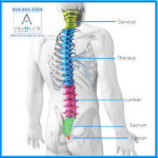 In basic terms, the neck (cervical spine) joins the shoulders and chest to the head. Knowing Your Spine Anatomy Absolute Injury And Pain Physicians