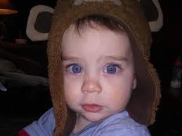 Fundraiser for KD Sharp by Robin Chalfant : Funeral Expenses for Loki