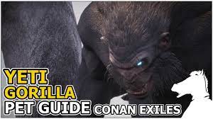 Yeti Gorilla Pets Guide Conan Exiles Youtube