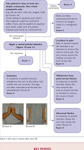 figure 4 from glasgow coma scale flow chart a beginners