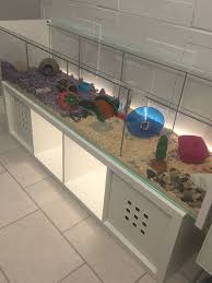 Ikea Detolf Hamster Cage Ikea Detolf Hamster Cages Hamster Habitat