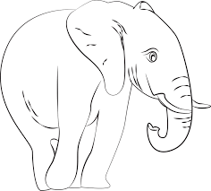 Ternyata cara pembuatan animasi ada 2 lho. Gajah Linear Gambar Vektor Gratis Di Pixabay