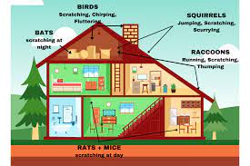 Also, having the need to be outside in open space (see cabin fever). What S That Sound Identifying Animals By The Noises They Make In Your Home