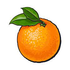 Check spelling or type a new query. 203 962 Naranja Dibujo Vectores Ilustraciones Y Graficos 123rf