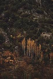 Adam Tabaja (tabajaadam)