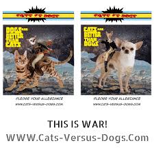 Not all pets are created equal, of course. Cats Versus Dogs Home Facebook