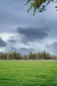 So in this article, you can download these new cb background images hd 2021. Hd Background For Editing Nature Background By Mmp Picture Blur Photo Background Nature Backgrounds Background Images Hd