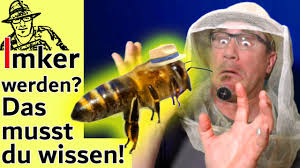 Die biene ist für die meisten menschen seit ihrer kindheit allgegenwärtig. Bienen Halten Fur Anfanger Tipps Fur Imker Neulinge Die Wichtigsten Antworten Auf Eure Fragen Youtube