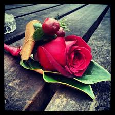 Never forget that simplicity is always the winner. Top 25 Most Beautiful Red Roses