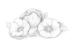 This forms the center of the flower. Simple Flower Designs For Pencil Drawing Borders