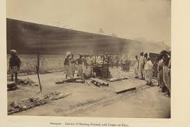 Bombay plague of 1896 ...