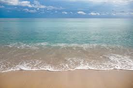 Bruno se interessa por rita e os dois começam a namorar, porém bruno se torna alvo da sedução da fatinha. O Cobicado Bruno Lima Cacau Colucci Admite Ciume De Noivo Delegato Mais Assediado Que Eu Carlos Vitor S Blog